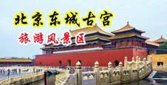 胸罩射精视频中国北京-东城古宫旅游风景区
